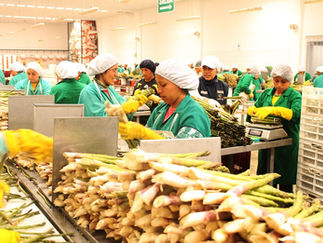ENTRE ENERO Y FEBRERO
EXPORTARON 3 MIL 880 EMPRESAS