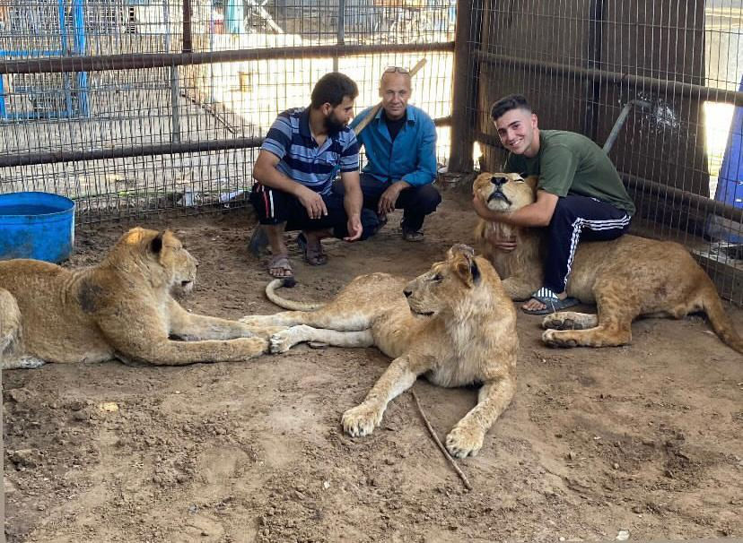 WhatsApp Image 2025-10-23 at 9.36.52 AM.jpeg