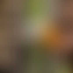 I miei Naturali Dettagli | Ottobre 2023