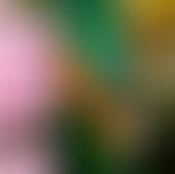 I miei Naturali Dettagli | Luglio 2021