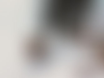 Compliance y Prevención de riesgos ante reformas del Código Penal y Ley de Contratación Pública