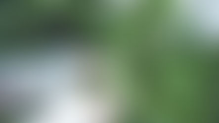 Conozca lo relevante sobre las licencias para el cultivo de cannabis no psicoactivo o cáñamo