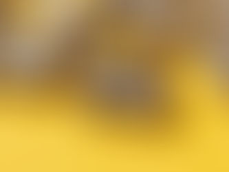 Informe sobre Operativo de Productos Ilícitos en la Ciudad de Guayaquil
