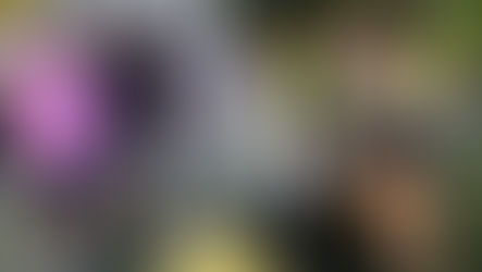 Lunagistix Celebrates 4 Years!