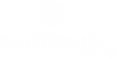 logo-eurovia.png