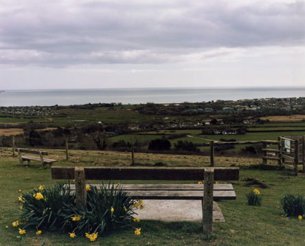 Wooden bench overlooks coastal landscape with sea and yellow daffodils.