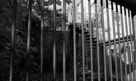 Grayscale view through metal bars to an outdoor spiral staircase.