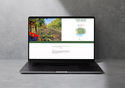 Azienda Agricola Cesca Daniele Website Desig