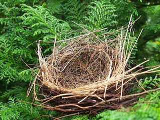 The Nest May Be Empty, But Your Relationship Doesn’t Have to Be