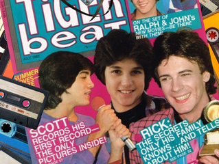 Heartthrobs & Hit Singles: When Our ’80s and ’90s Crushes Tried Music