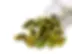 "GI-certified cardamom from Greenwick Globals – India exporter