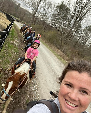 horses on fence 2.jpg