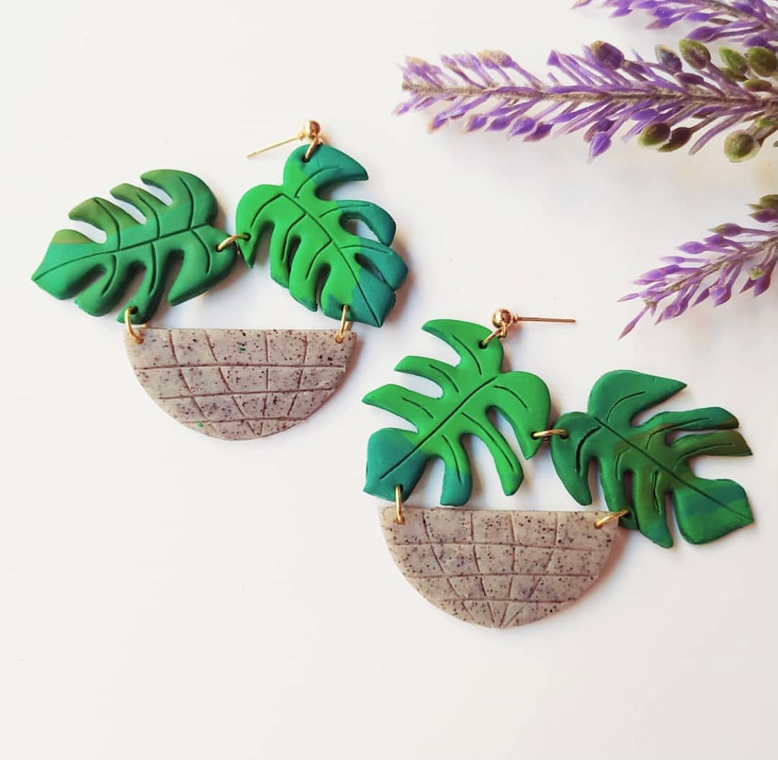 Monstera