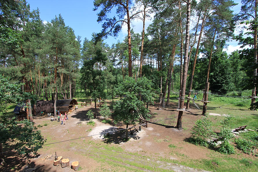 32e11f_85bdfe0f6df345c8a01ad45c606da06f.jpg_srb_p_893_595_75_22_0.50_1.20_0.00_jpg_srb