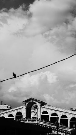 ponte rialto - venezia