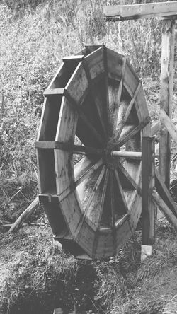 wassermühle - feldberg