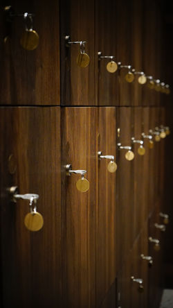 schrank - schloss - bregenz