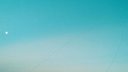 sea you 2016 - freiburg