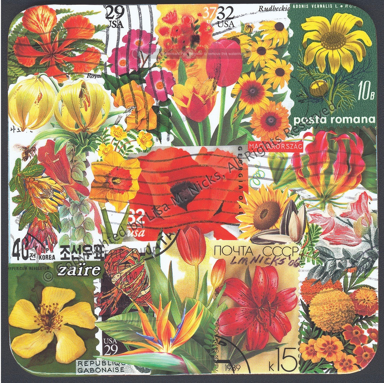 Window Box Series (variety pack of 4 different images)