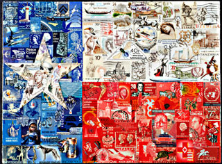 The Texas Collection (variety pack of 3 different images)