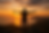 8D06B433-0231-4A3A-B5AF-2D507C3F8695.PNG