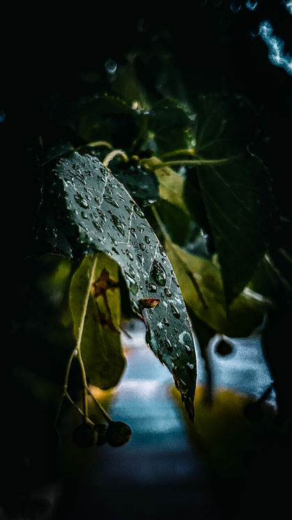 Suspended