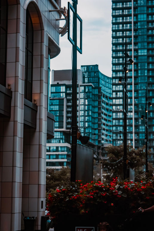 Concrete Jungle