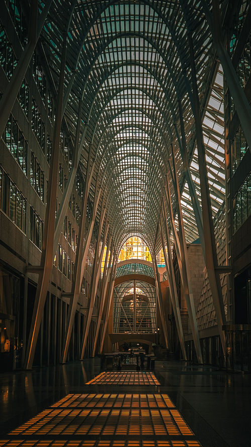 Golden Lines