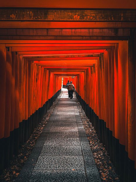 Through the Torii