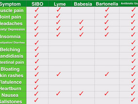 Do you have Lyme Disease or SIBO?