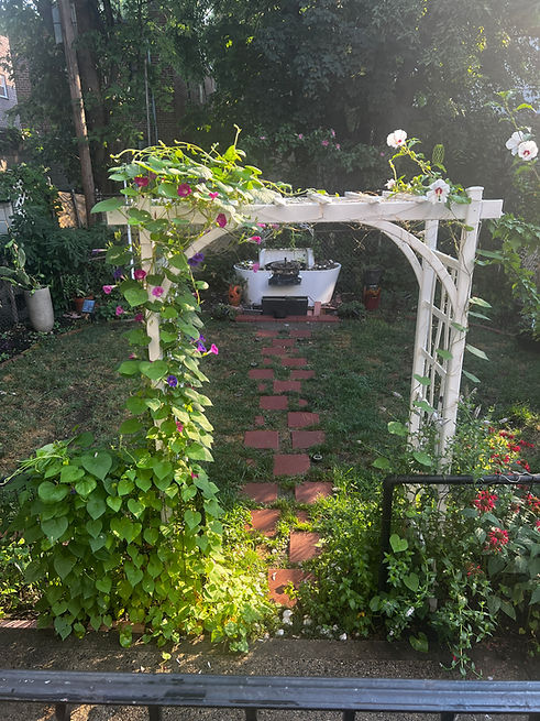 A view of a lush, green private garden with a white wooden archway covered in morning glory vines. A brick path leads to a unique white fountain, and the space includes various plants and a hammock.