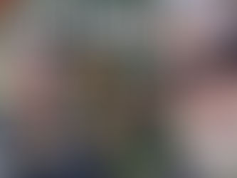 Mercronspi 195 - Les Frères Gaudet, 2024-06-26 - compendium