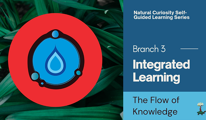 Natural Curiosity Self-Guided Learning Series Branch 3 Integrated Learning The Flow of Knowledge