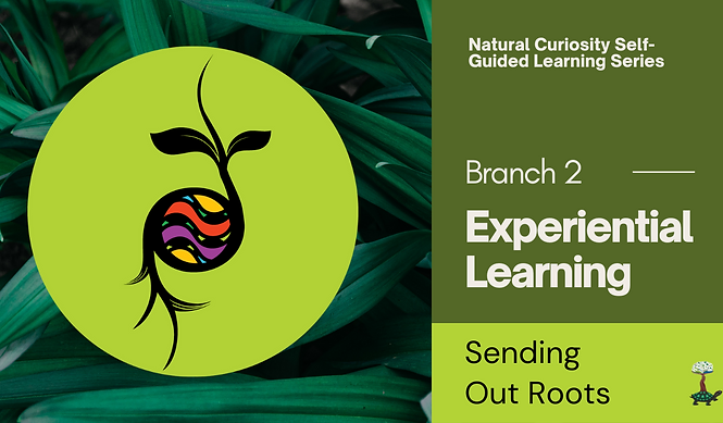 Natural Curiosity Self-Guided Learning Series Branch 2 Experiential Learning Sending Out Roots