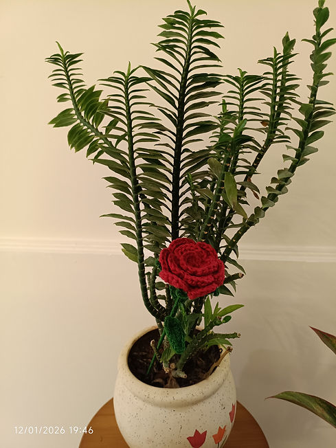 Rose Crochet Rashmi.jpg