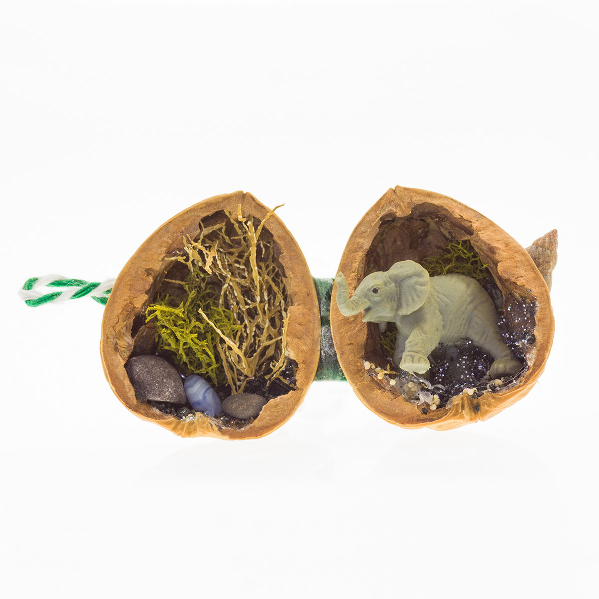 Walnocket - Elephant