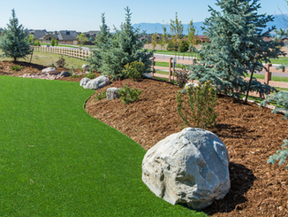 Artificial Turf Yard