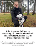 Skjermbilde 2025-12-09 kl. 23.29.05.png