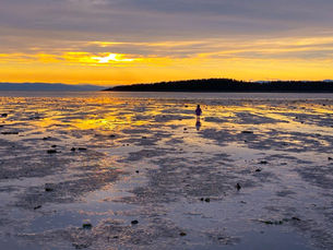 la lumière du coucher de soleil sur les eaux du fleuve
