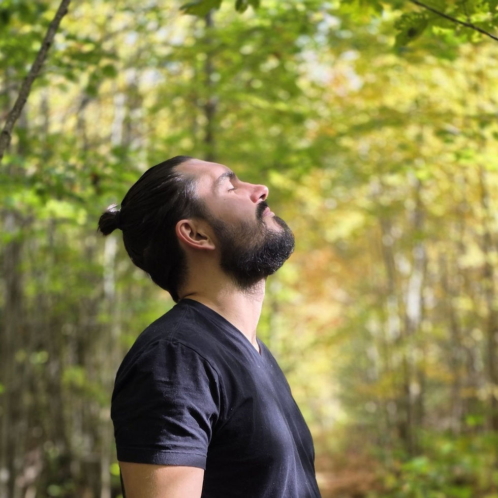 Le Chemin du Coeur "L'art d'être au quotidien, de se recentrer et de s'aligner sur la vie"