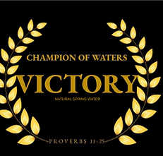 VBW LOGO_edited.png