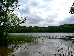 pixelcut-export llyn ebyr.jpeg