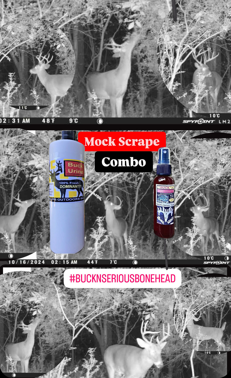 Thumbnail: Mock Scrape “Bonehead” Combo