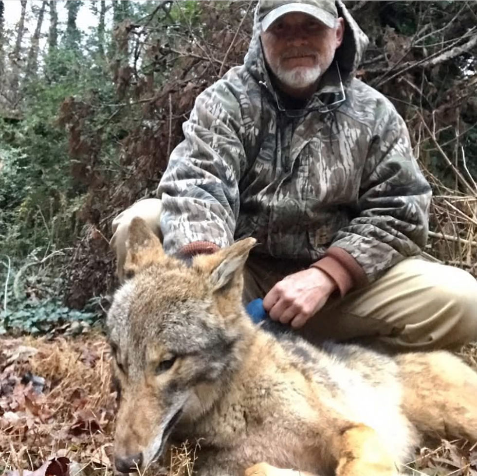 Thumbnail: Predator Trapping Combo X, Coyote, Bobcat, Fox