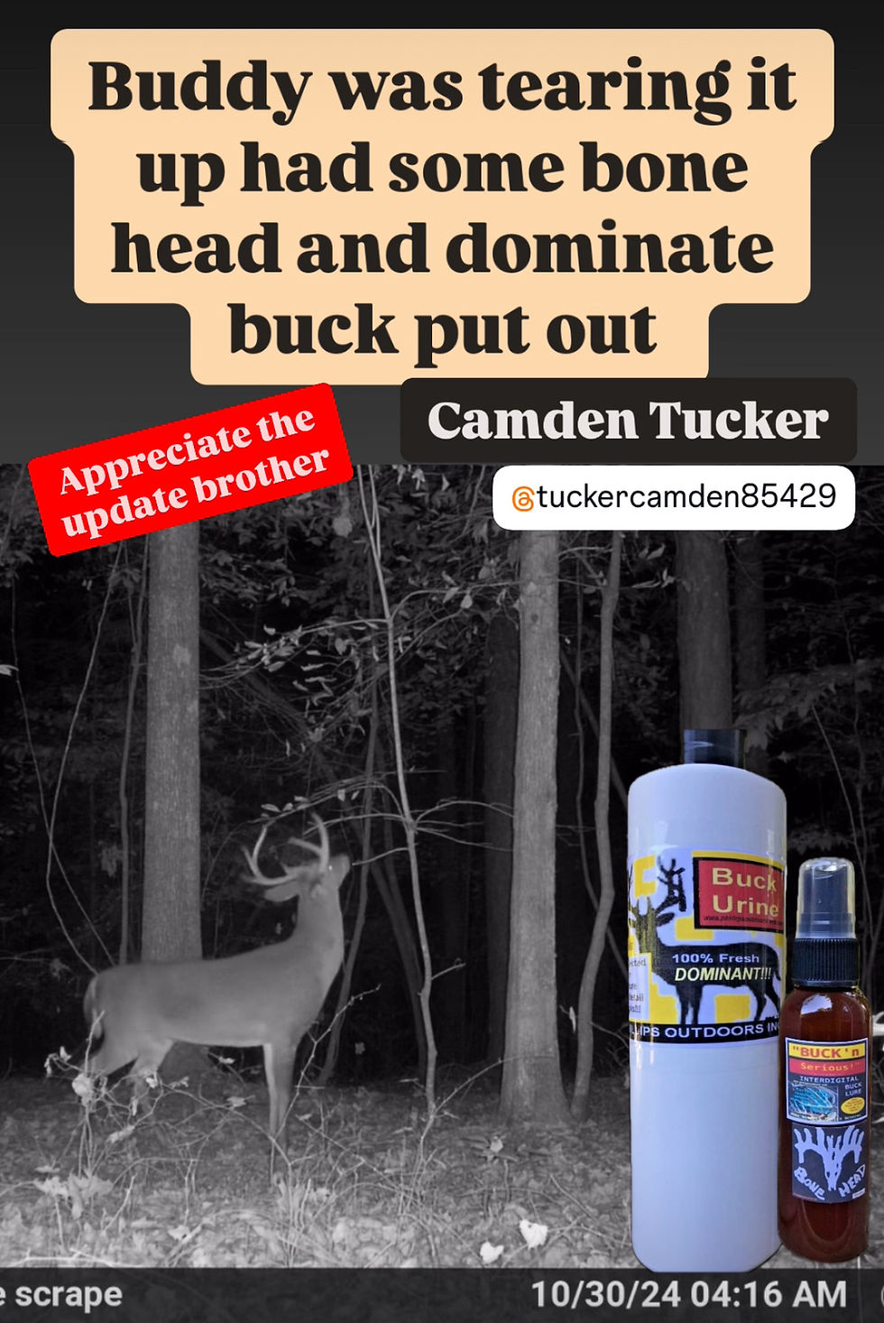 Thumbnail: Mock Scrape “Bonehead” Combo