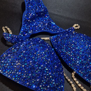 npc stock bikini - ready to ship npc bikini