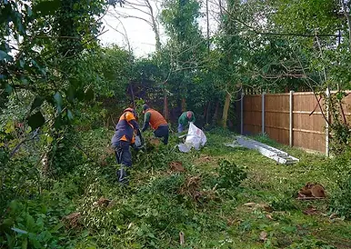 professional-garden-clearance.webp