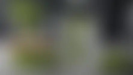 Unlocking the Power of Nature: Little-Known Remedies for Boosting Kidney Health