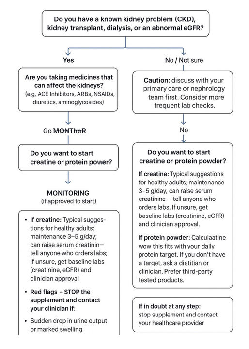 Creatine and Protein Powder: More Info Before Starting these Supplements