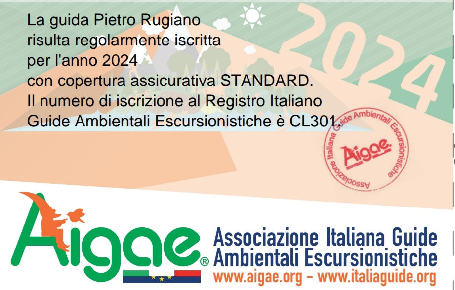 Miniatura: Educazione ambientale 